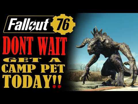 Fallout 76   How to Tame and Get a Camp Pet