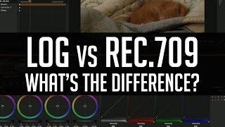Log LUTs vs. 709 LUTs - What's The Difference?