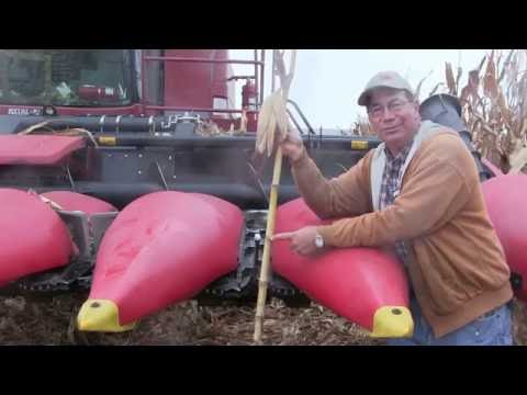 Marion Calmer on Setting Stripper Plates Gap