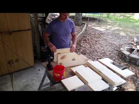 $20 Squirrel House Pt 1