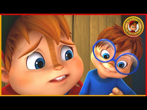 Quarto Para Um Só | ALVINNN!!! E OS ESQUILOS | 45' Compilação