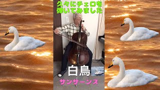 Download lagu 【チェロ演奏】 白鳥 Swan / サンサーンス Saint - Seans. ★73オヤジのチェロ挑戦♬ mp3 Download lagu 【チェロ演奏】 白鳥 Swan / サンサーンス Saint - Seans. ★73オヤジのチェロ挑戦♬ mp3