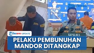 Polisi Tangkap 3 Pelaku Pembunuhan Mandor Proyek di Gianyar, Terciduk dalam Pelarian di Jember