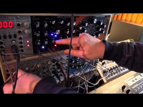 Radikal Technologies Swarm Oscillator