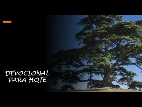 Devocional 24/05/20
