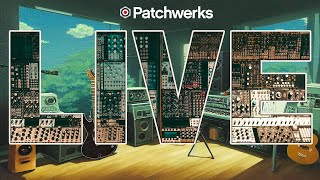 Video thumbnail for Erica Synths LXR-02 and Doepfer A-111-5 Synthesizer Voice by Patchwerks