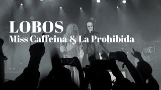 Lobos - MISS CAFFEINA Y LA PROHIBIDA (Fin de gira DETROIT) MOTOR CITY SHOW