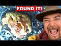 I Found 3 Specks of GOLD — Then Followed Them to the Source