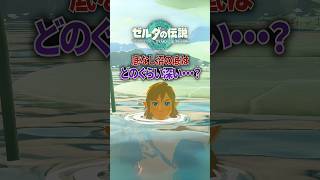 ハイラル平原にある「底なし池」の底はどのぐらい深い...?#ゼルダの伝説 #ティアキン #shorts