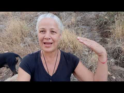 Purpose of Pain and the Void During Spiritual Awakening