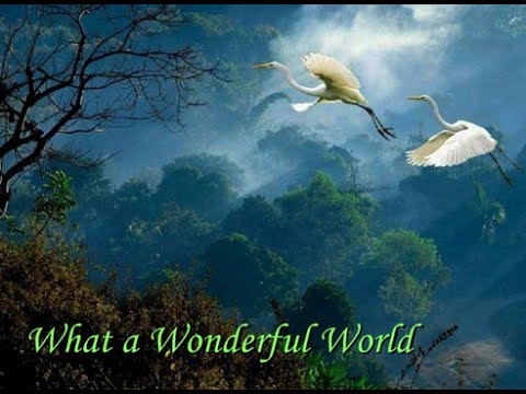 What a Wonderful World - Jaký to Překrásný Svět...