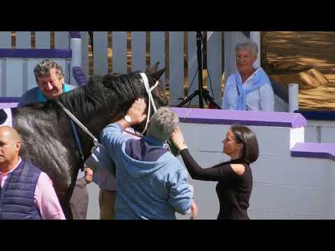 BARATHEON Race 2 #hollywoodbetsdurbanville 28-03-2023