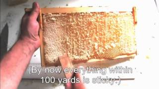 Three Simple Ways To Process Honey