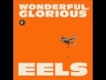 Eels - You're my friend (+lyrics) 