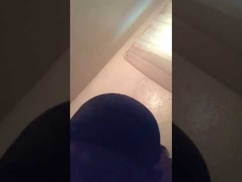 ICE MIKE  (PAPER CHASER )