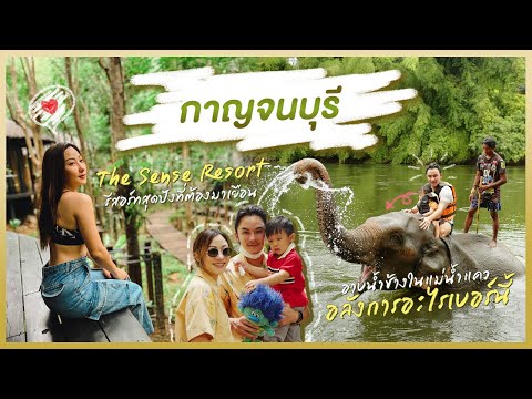 แคมป์ช้าง ทวีชัย