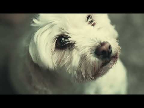 Practicing color grading slog 3 footage from a Sony FX3