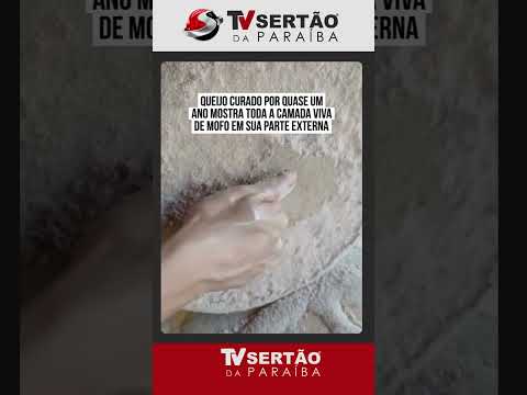 Queijo gigante com oito meses de maturação impressiona com camada viva de fungos