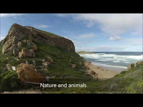 Ciara Llewellyn - Living CV