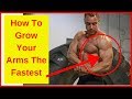 How to Grow your Arms the Fastest! ll How to Get Bigger Arms FAST