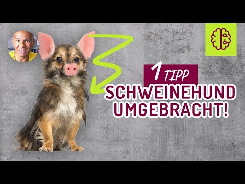 Osteochondrose des Brustkorbs Gras Röntgenstrahlen des Knies Tver