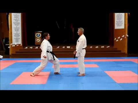 Shokotan Karate Moves By David Rush