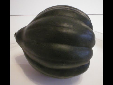 Acorn Squash 101-Select and Store the Best Acorn Squash