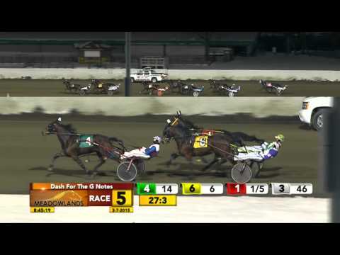 Meadowlands March 7, 2015 - Race 5 - Bullet Bob
