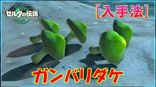 【ゼルダの伝説ティアキン】「ガンバリダケ」が大量採取できる場所2か所と売っている場所を紹介！