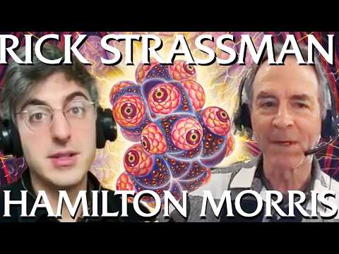 Hamilton Morris & Dr. Rick Strassman on DMT: The Super Placebo