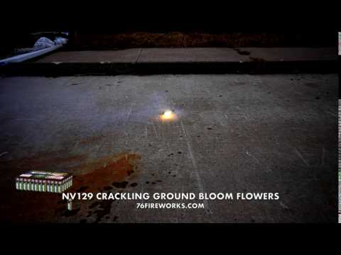 NV129 Crackling Ground Bloom Flower Fireworks