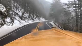 AK the Savage Parody, (You will be missed till you come back tonight)