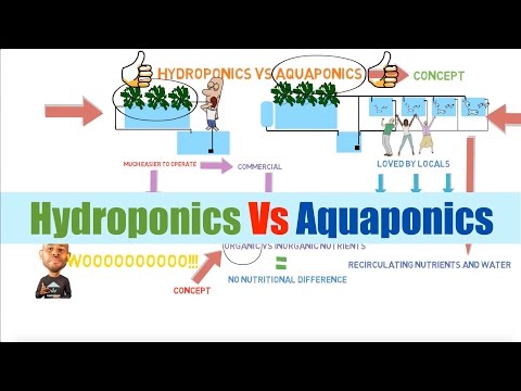 download lagu mp3 mp4 Hydroponic And Aquaponic Farming, download lagu Hydroponic And Aquaponic Farming gratis, unduh video klip Hydroponic And Aquaponic Farming