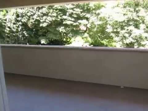 PL4361 - Beautiful 2 Bed + 2 Bath for Rent (Hollywood Hills)