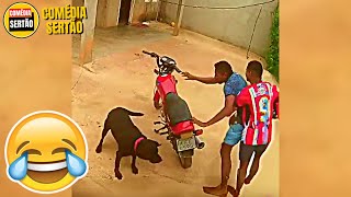 5 Minutos para Rir! 😂 Vídeos Engraçados 2024 - Tente Não Rir #17