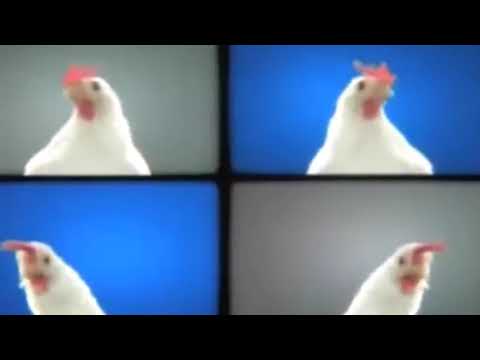 GALINHA DANÇANDO. Vitas 7th Element (Chicken Edition)