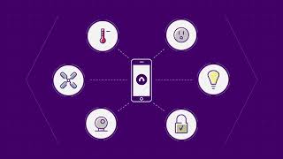 Clesta Explainer video sample 5