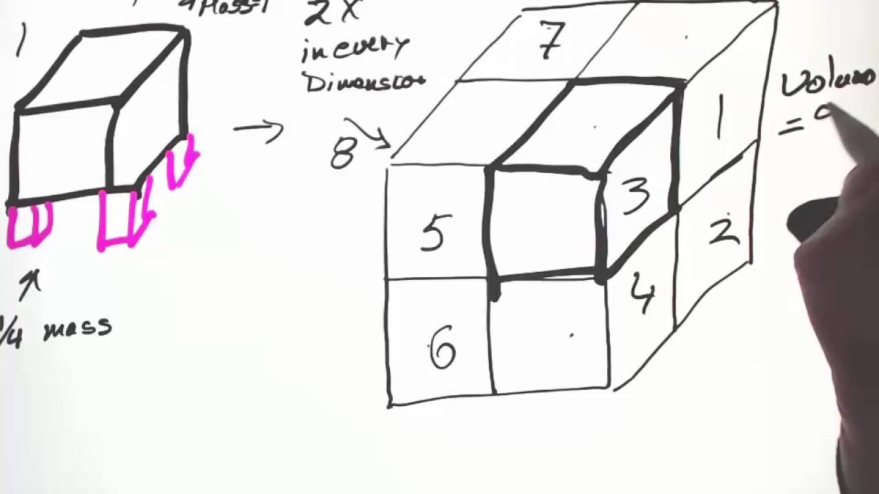 Structure and Function Allometry and Scaling - YouTube