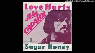 Jim Capaldi - Love Hurts (1975) [magnums extended mix]