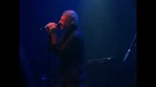 Strass - Buitres en la Trastienda