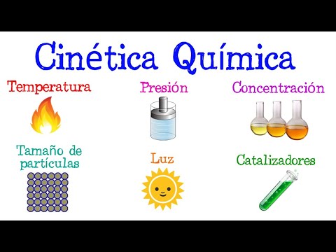 💥Factors That Affect the Rate of a Chemical Reaction💥 | Chemical Kinetics | [Easy & Fast]