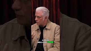 Adrian Belew influenced Jeff Buckley?