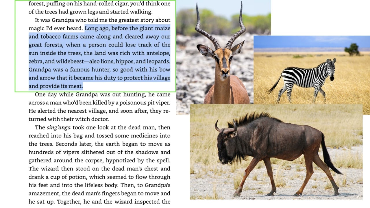 Chapter 1 of The Boy Who Harnessed the Wind