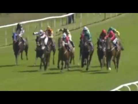 amenable hamilton 18 06 14