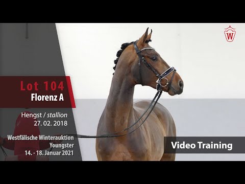 Winterauktion Trainingsvideo Youngster Lot 104 Florenz A Hengst v. Fürstenball - Rotspon