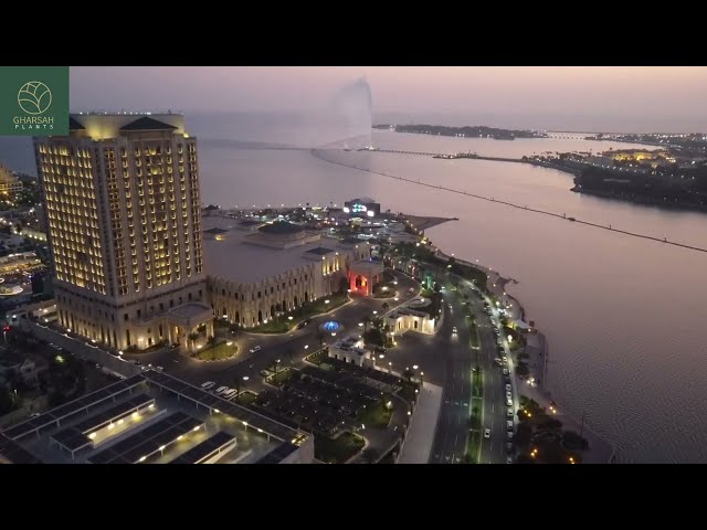 مشروع تنسيق حدائق منازل فلل جدة