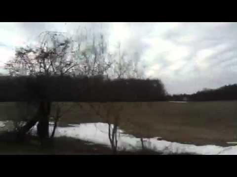 14Deer off Methuen street