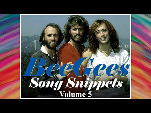 Bee Gees Song Snippets Volume Five, Music Sampler, Barry Gibb Robin Gibb