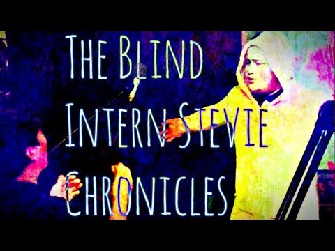 The Blind Intern Stevie Chronicles