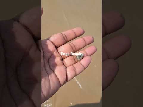 Baga Beach #Goa #50thbirthday #bagabeach #northgoa